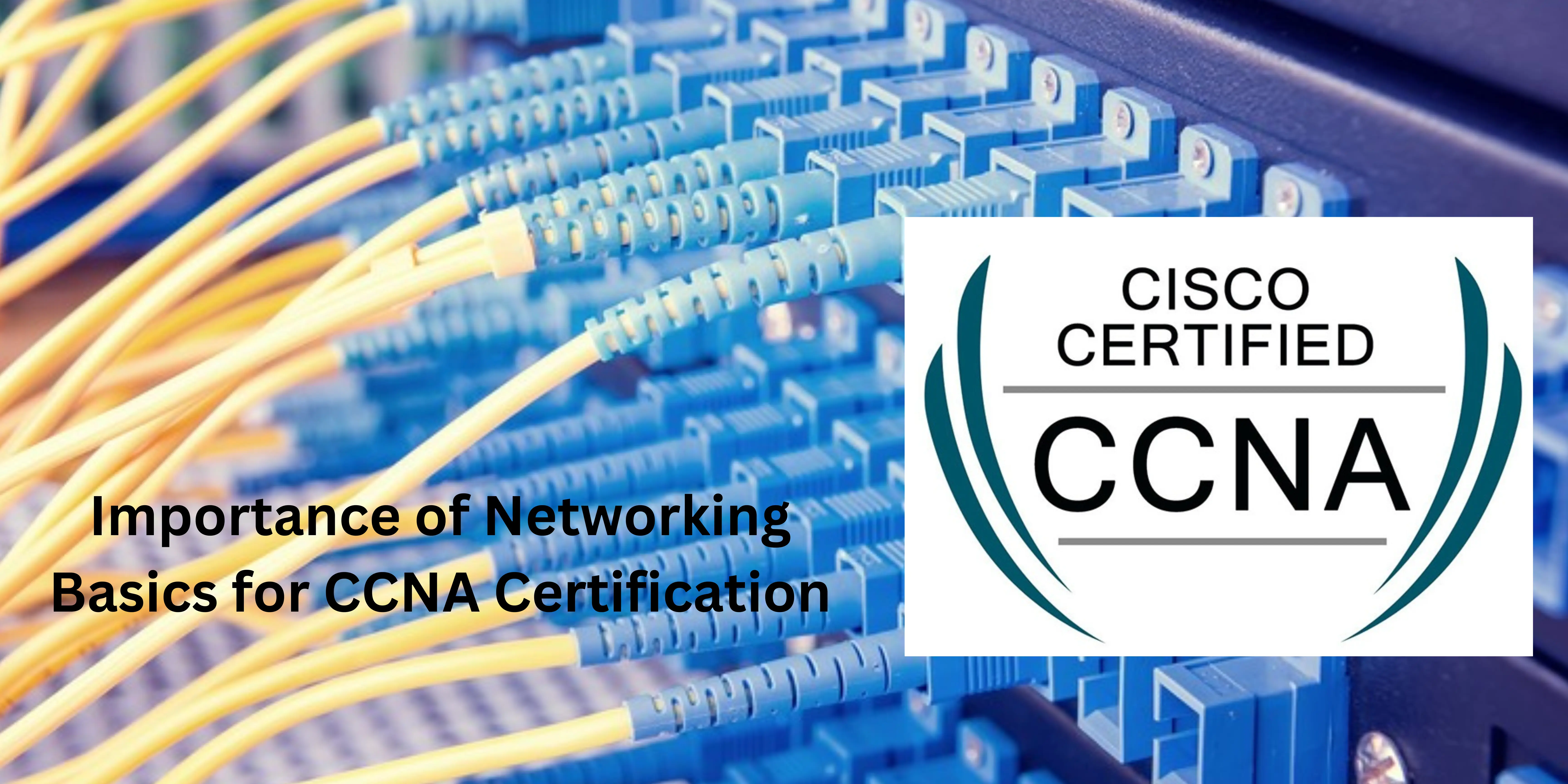 importance of networking basics for ccna certification blog